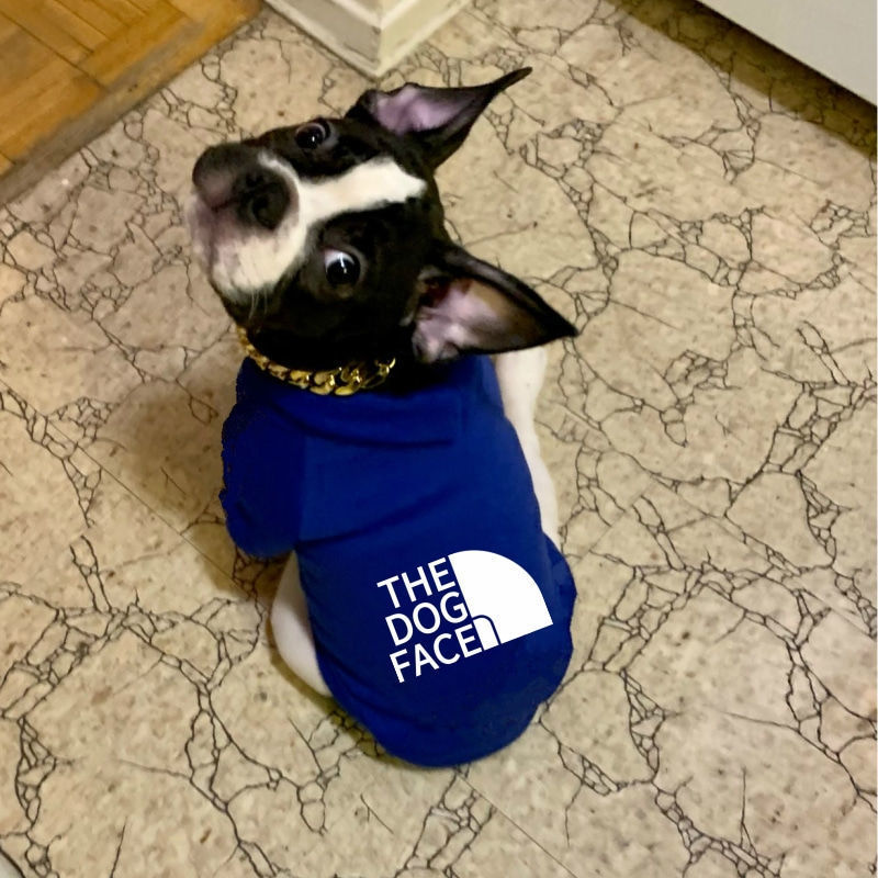 Cão de estimação hoodies outono e inverno temporada grande roupas para cães rosto do cão texto padrão buldogue francês labrador jaqueta roupas
