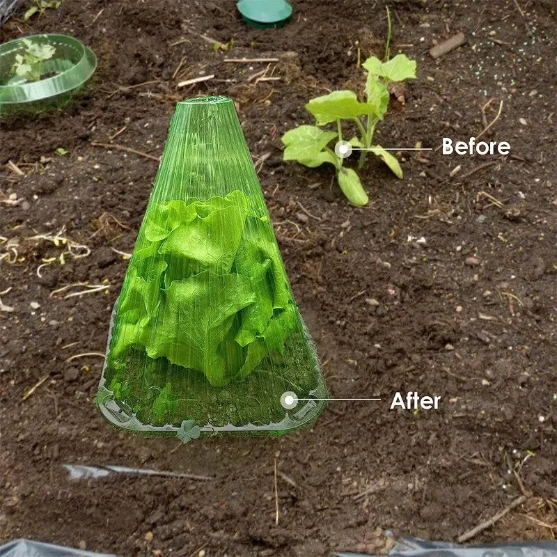 5 ชิ้น Growth กล่องปลูกเต็นท์ Reusable Square ใช้พืชนาฬิกาปกป้องพืชจากนก Frost และ Snail ความเสียหายสีเขียว