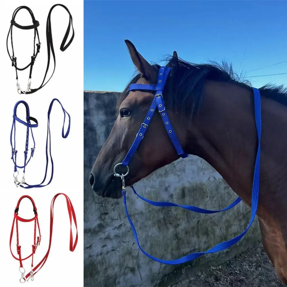 Halteres de caballo engrosados, correa ajustable, cómoda diadema con brida para caballo, ensanchador de cuello de caballo de tres colores resistente