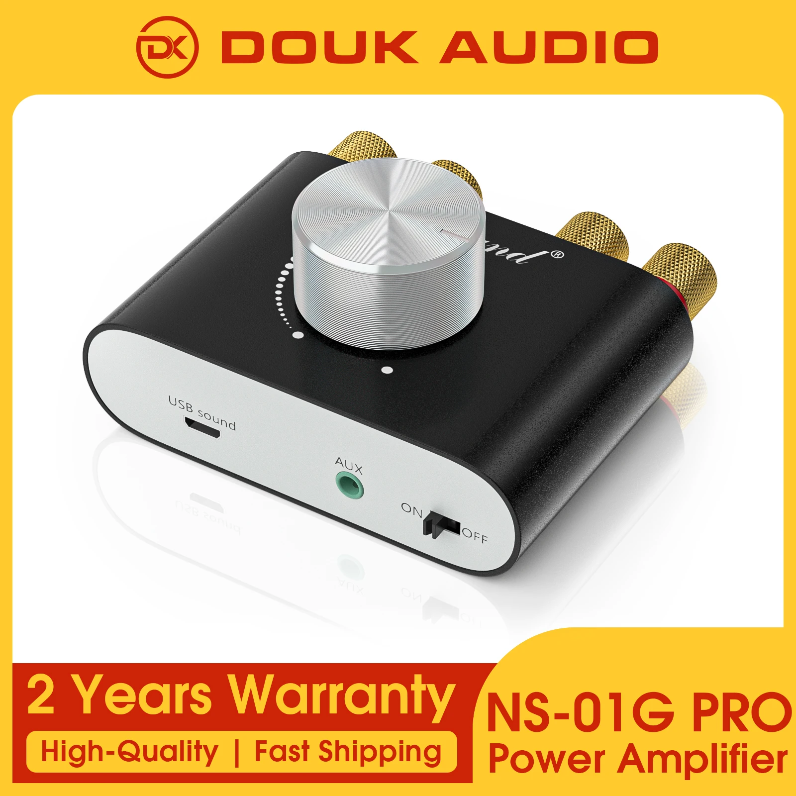 Douk audio Mini Bluetooth 5,0 amplificador Digital NS-01G estéreo Hi-Fi Audio en casa TPA3116 amplificador de potencia 100W