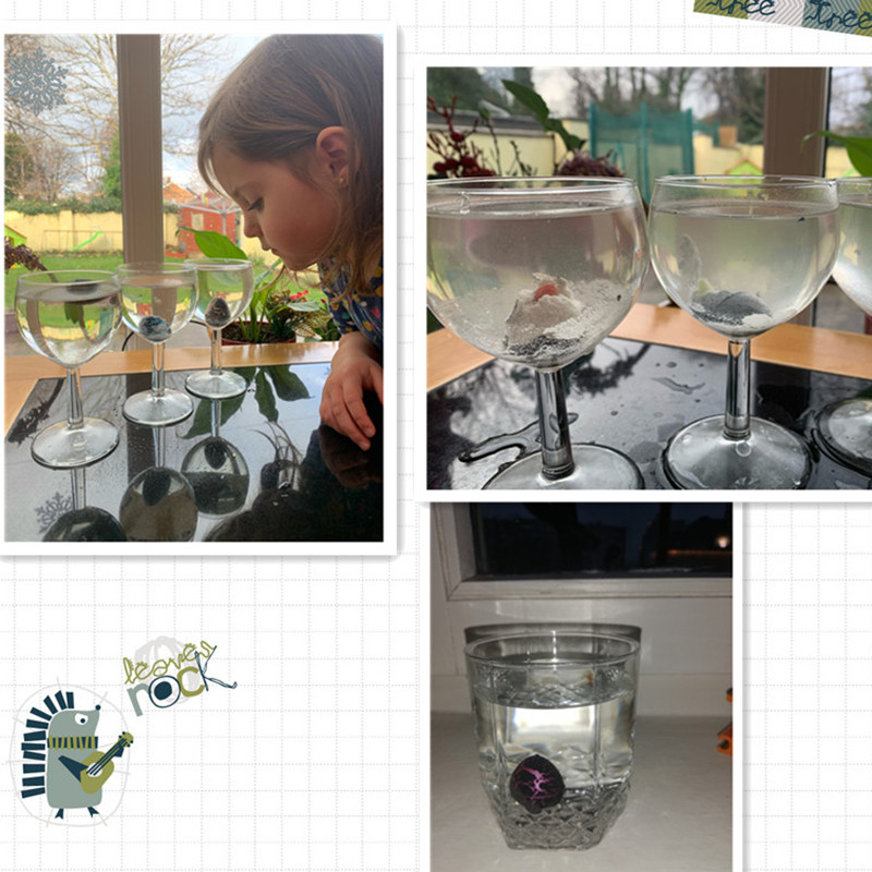 Jouets éducatifs pour enfants, nouveauté, œufs de dinosaure amusants, eau magique, processus d'élevage d'animaux, outils d'enseignement