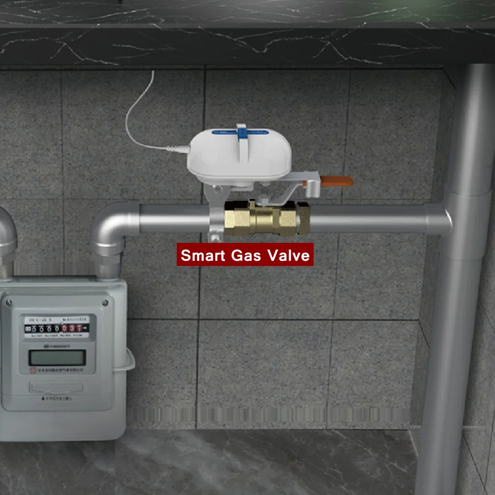 Tuya Smart Home WiFi Zigbee Wasser Ventil Wasserhahn Garten Sprinkler Controller Timing Sprachsteuerung Gas Smart Ventil für Alexa Google