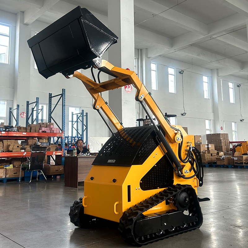 カスタマイズされたミニスキッドステアローダー,ディーゼルホイールローダー,360 460,新品,安い