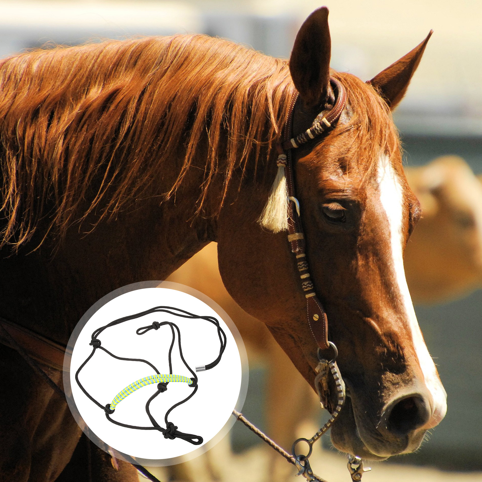 Corda trançada cabeça de cavalo colar halter resistente ao desgaste halteres de náilon para mostrar estilo ocidental bridas bitless portátil fornecimento de cavalo
