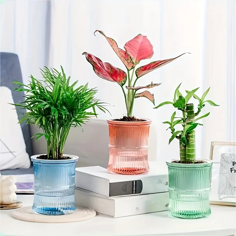 Lazy Hydroponic ดอกไม้หม้อดูดซับน้ําอัตโนมัติกระถางดอกไม้โปร่งใส Double Layer พลาสติกรดน้ําด้วยตนเอง Planter Office
