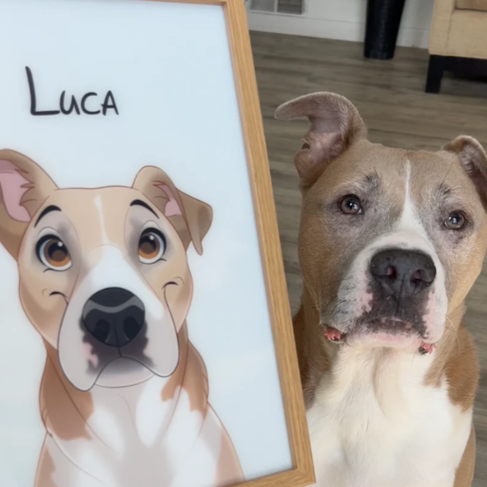 Anime pet night light customization, USB plug 3-tone lighting atmosphere light, home decoration light gift for pet lovers