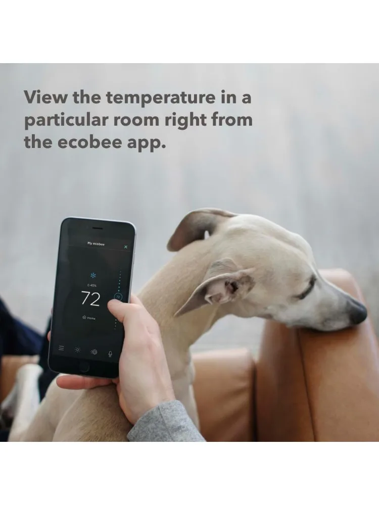 Smart Sensor 2 Pack - Comfort, Security, Energy Savings - Smart Home - Compatible with ecobee Smart Thermostats for Home-Furnitu