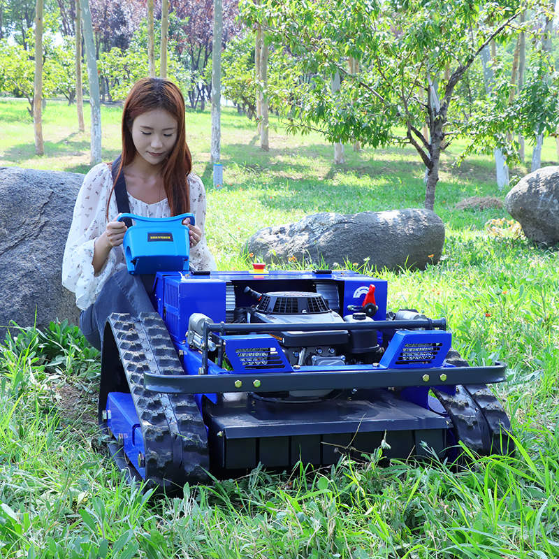 Aangepaste fabriek goedkope prijs grasrobot hellingrups grasmaaier met afstandsbediening met CE EPA-certificaat