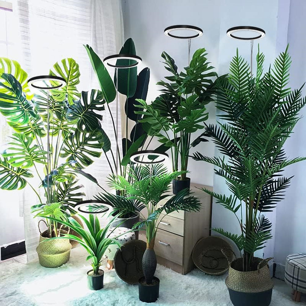 165 cm in hoogte verstelbare LED-ringkweeklampen kamerplanten volledig spectrum groot plantenlicht voor kamerplanten USB-groeilamp