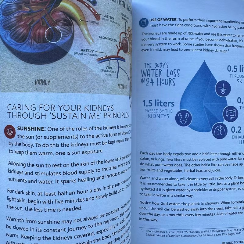 2 Books Self Heal By Design / Sustain Me By Barbara O'neill Guide Book in English Paperback