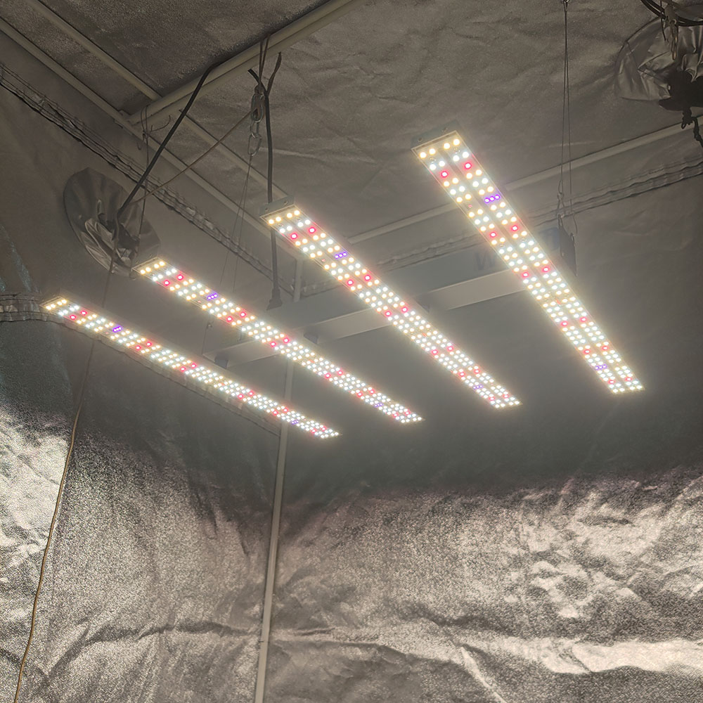 SOLIDEE APP-WLAN-Steuerung 240 W Quick Spider L2 LED-Wachstumslicht PPFD bis zu 1200, verwendet für Pflanzen-Hydrokultur-Anbausysteme