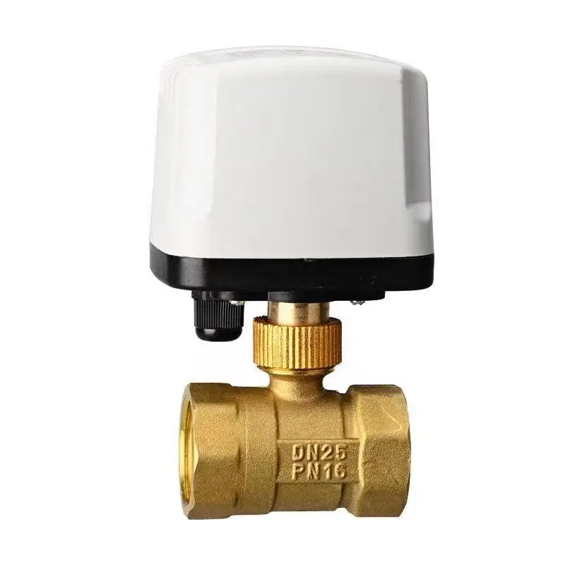 1/2 "3/4" 1 "2" IP65 กันน้ําบอลวาล์วมอเตอร์ 3 สาย 2 ควบคุมทองเหลืองบอลวาล์วไฟฟ้าแรงบิดขนาดใหญ่มอเตอร์โลหะ