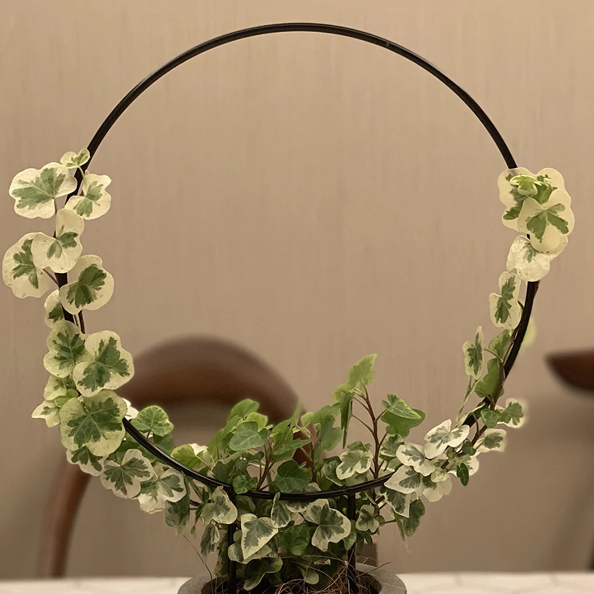 สวน Trellis โรงงานเหล็กพืชปีนเขาสนับสนุนสีดําเคลือบกันสนิมสําหรับในร่มดอกไม้ Vine Trellis สําหรับตกแต่ง