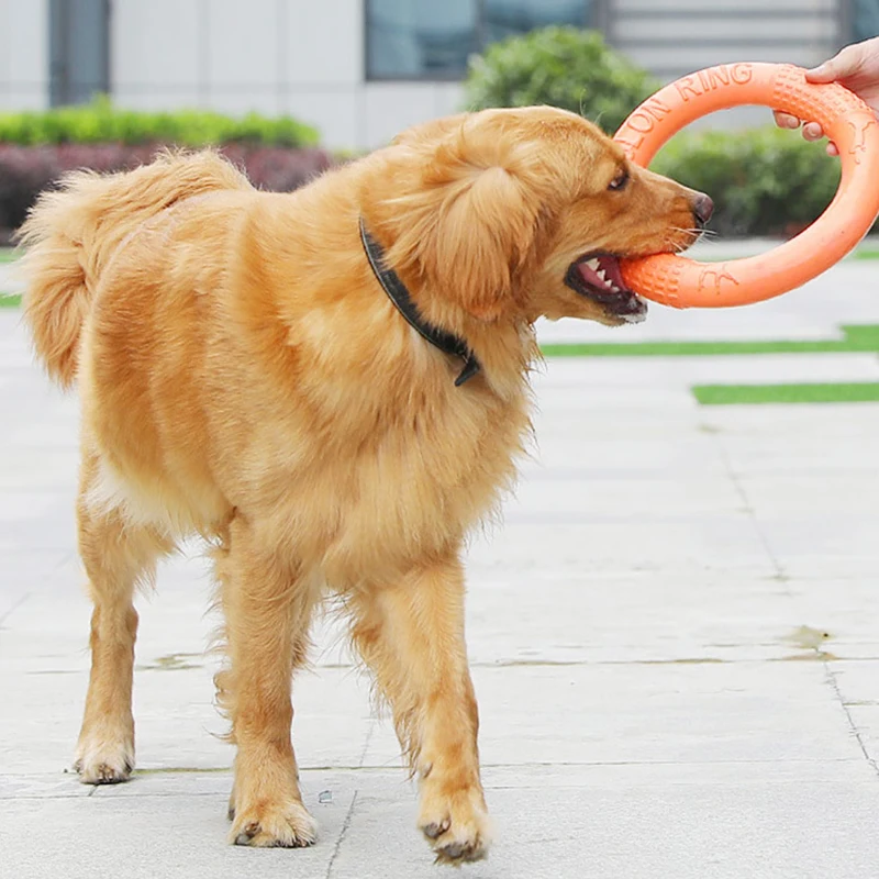 1pc Oranje Hondenspeelgoed Huisdier Vliegende Schijf Trainingsringtrekker EVA Interactieve Trainingsringtrekker Bestand voor Honden