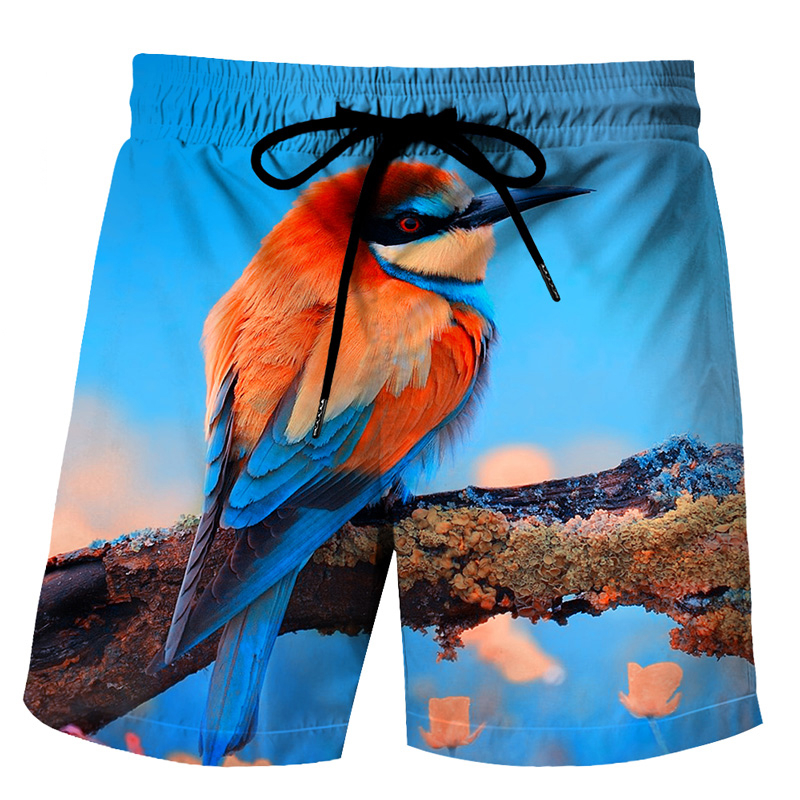 Short de plage avec image de canard drôle pour hommes, short de planche avec impression d'animaux en 3D, maillot de bain de sport, de gymnastique, de glace fraîche