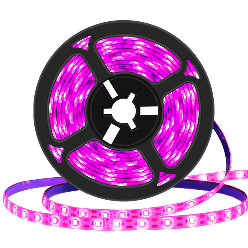 Luz LED de cultivo de plantas de 1M/2M/3M, tira USB de espectro completo, 60 cuentas de lámpara/M, fitoamplificador de invernadero para plantas, sistema de cultivo hidropónico