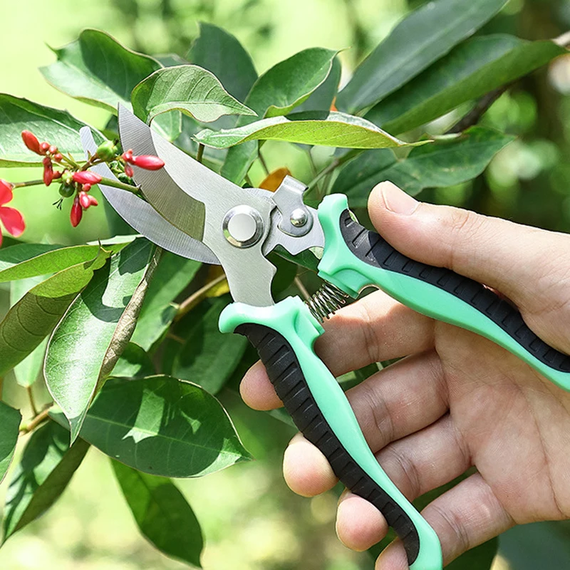สวนกรรไกรสําหรับบอนไซ Professional Pruning ต้นไม้ Orchard องุ่นสาขา Gadgets การเกษตรฟาร์มเครื่องมือ Pruner ดอกไม้