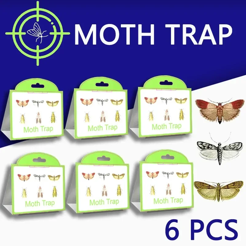 SilentKing 6PCS 나방 트랩 식료품 저장실 의류 주방 음식 홈 가든 해충 방제 나방 트랩 페로몬 나방 스티커 나방 트랩