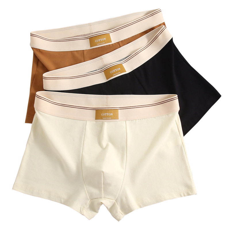 We.Fine 3 pièces 2024 nouvelle mode hommes slips coton respirant caleçon Sexy confortable pour hommes couleur unie hommes caleçons
