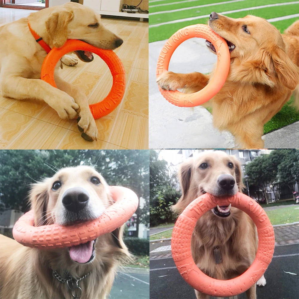 1pc Oranje Hondenspeelgoed Huisdier Vliegende Schijf Trainingsringtrekker EVA Interactieve Trainingsringtrekker Bestand voor Honden