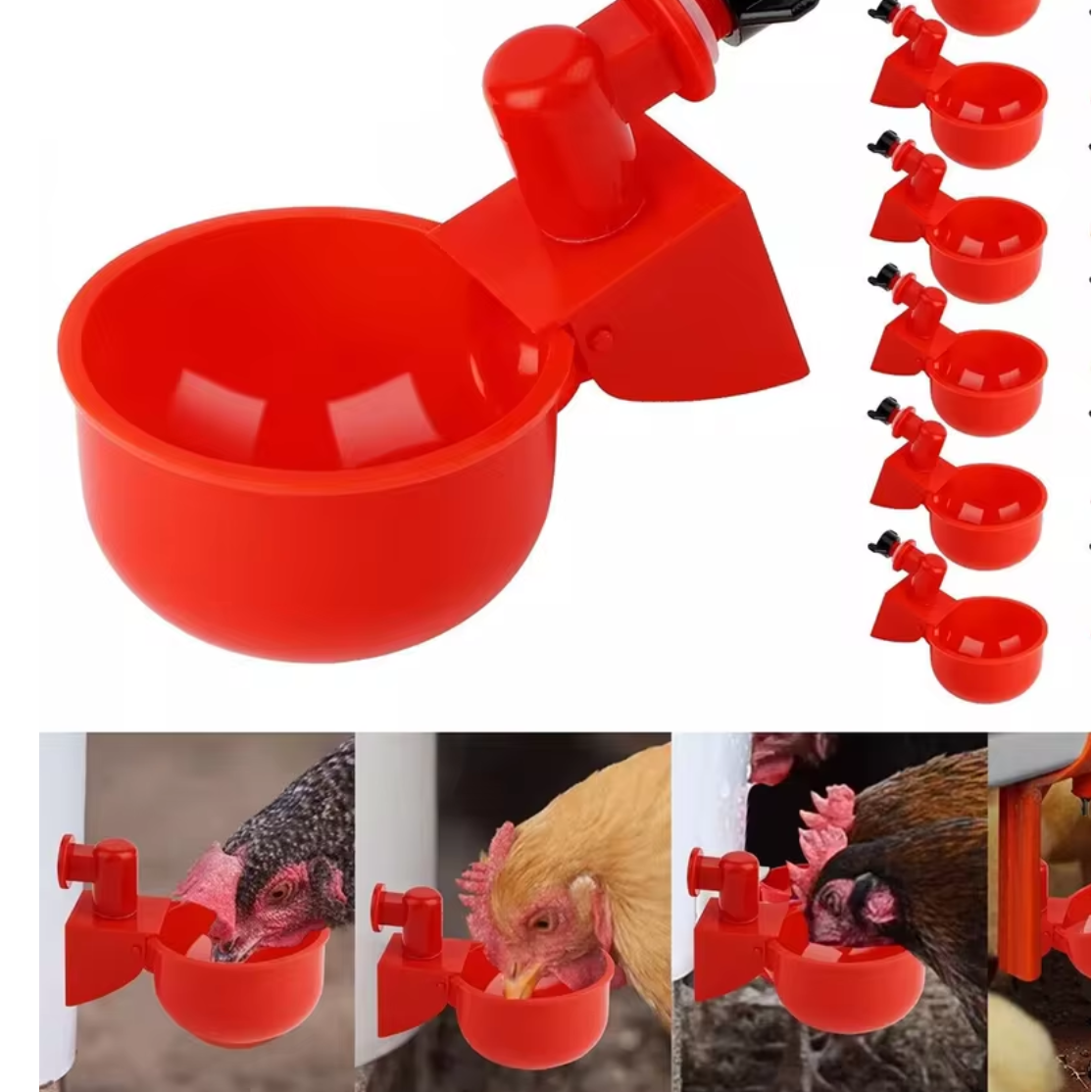 2/10 Stuks Kip Drinkbak Drinkwater Kwartel Gevogelte Automatische Water Dispenser Eend En Duif Gratis Bereik Kip