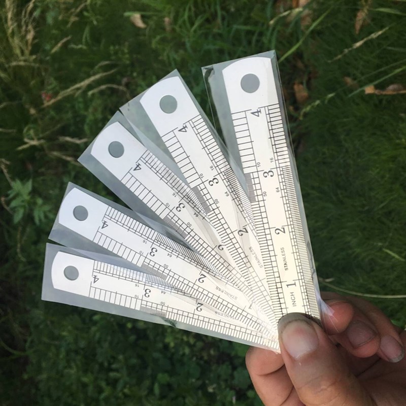 Righello dritto in metallo in acciaio inossidabile da 10 cm, doppia scala, strumento di misurazione in pollici, materiale scolastico per ufficio, artista, studente, disegno di cancelleria