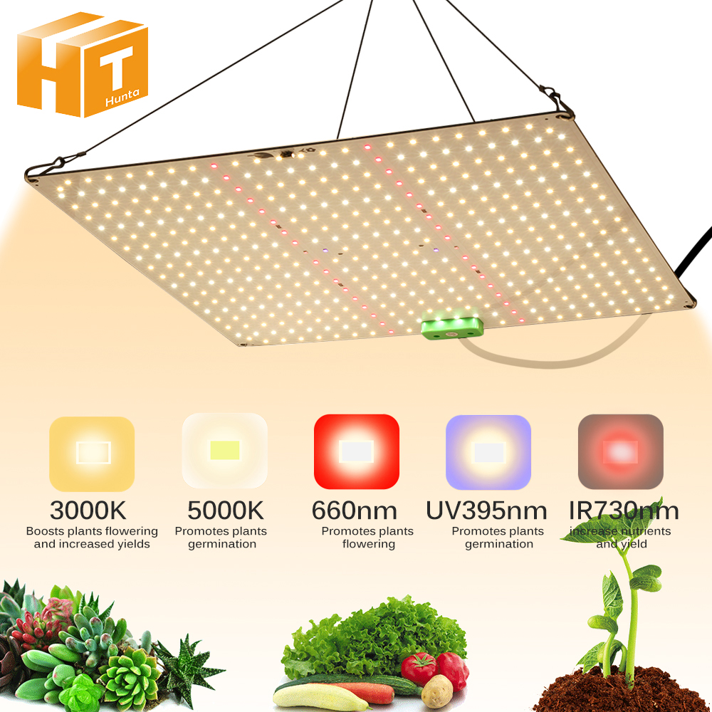 Luz LED de cultivo de espectro completo de 1000W, lámpara de cultivo Quantum Sunlike LM281B para iluminación de crecimiento de plantas de invernadero, lámpara regulable