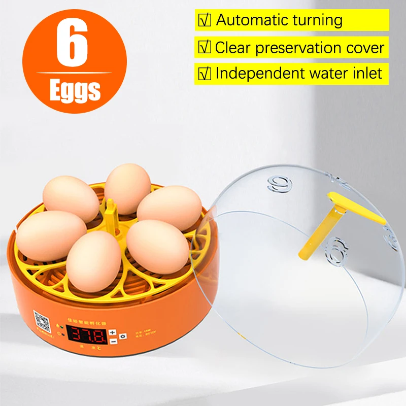 Incubadora de 6 ovos, giro automático, controle de temperatura, incubação, frango, codorna, pato, pássaros, mini chocadeira, dispositivo de incubação
