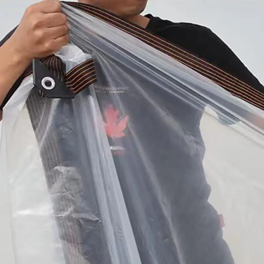 Tenda da balcone con membrana antipioggia in PVC trasparente, tenda isolante per piante grasse con telone impermeabile per esterni