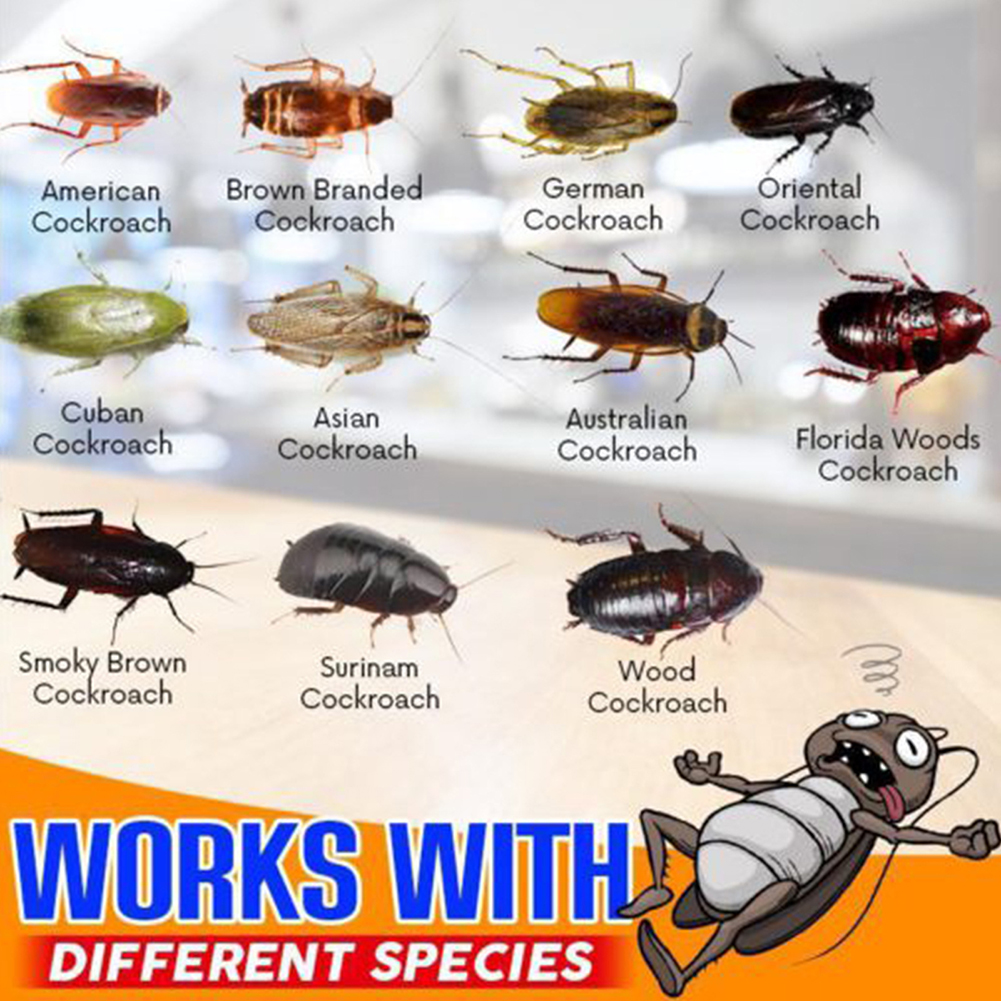 1-10pcs Cockroach Killer Indoor Infestation Effectively Natural Cockroach Repellent Versatile Roach Control Gel for Home Kitchen