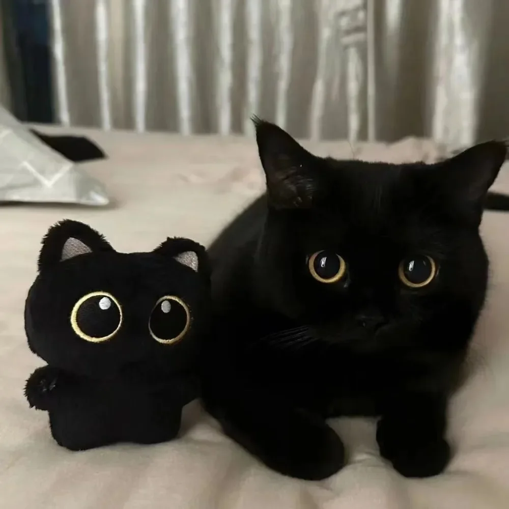 Partygeschenk süße schwarze Katze Plüschtier Puppe Anhänger Kissen Kissen schwarze Katze Plüschtier Puppe, geeignet für Jungen und Mädchen.