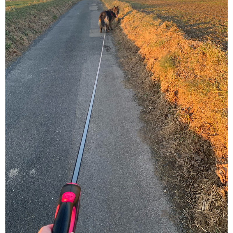 3 メートル 5 メートル 8 メートル 50 キロ犬のリード格納式ルーレット首輪小型大型犬アクセサリー調整可能な耐久性のあるウォーキングハイキングブルドッグロープ