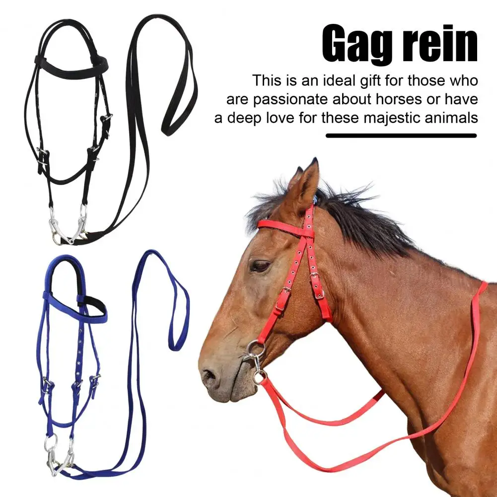 Cavezza per cavallo Cavezza per cavallo regolabile Cavallo imbottito in peluche Accessorio equestre per allenamento Cavallo con fibbia regolabile Cavalletto per cavalli