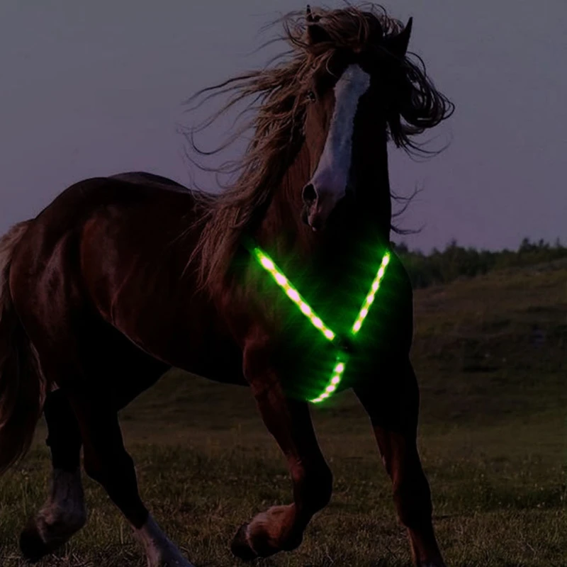 Arnés de correa de caballo, Collar de pecho ajustable, luz LED Visible nocturna, cinturón de pecho, equipo de equitación seguro