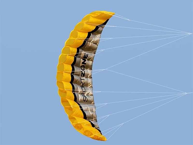 Miễn Phí Vận Chuyển 2.5M Đôi Dây Simili Đóng Thế Điện Diều Mềm Diều Parafoil Kitesurf Bay Ngoài Trời Vui Chơi Thể Thao