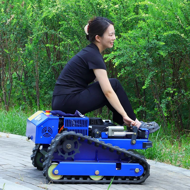 Aangepaste fabriek goedkope prijs grasrobot hellingrups grasmaaier met afstandsbediening met CE EPA-certificaat