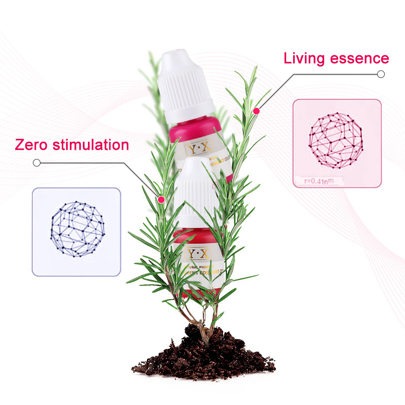 半永久的な眉毛タトゥークリーム、着色が簡単でリアルなタトゥー絵画、DIYの偽のような生活のための液体