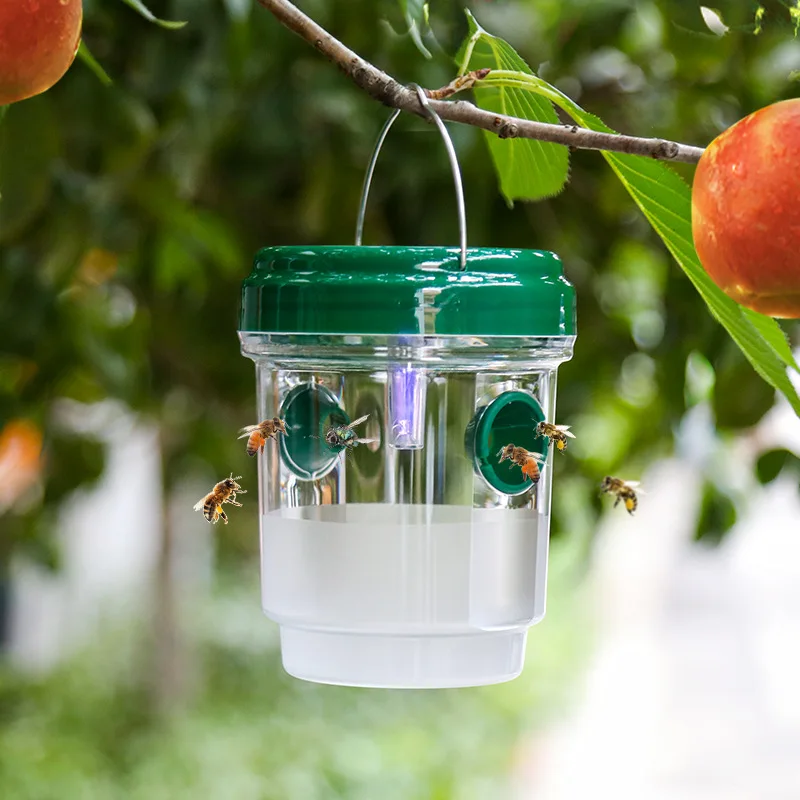 Armadilha para insetos externa de plástico transparente com tampa - eficaz para capturar moscas de frutas, vespas, design transparente para fácil monitoramento