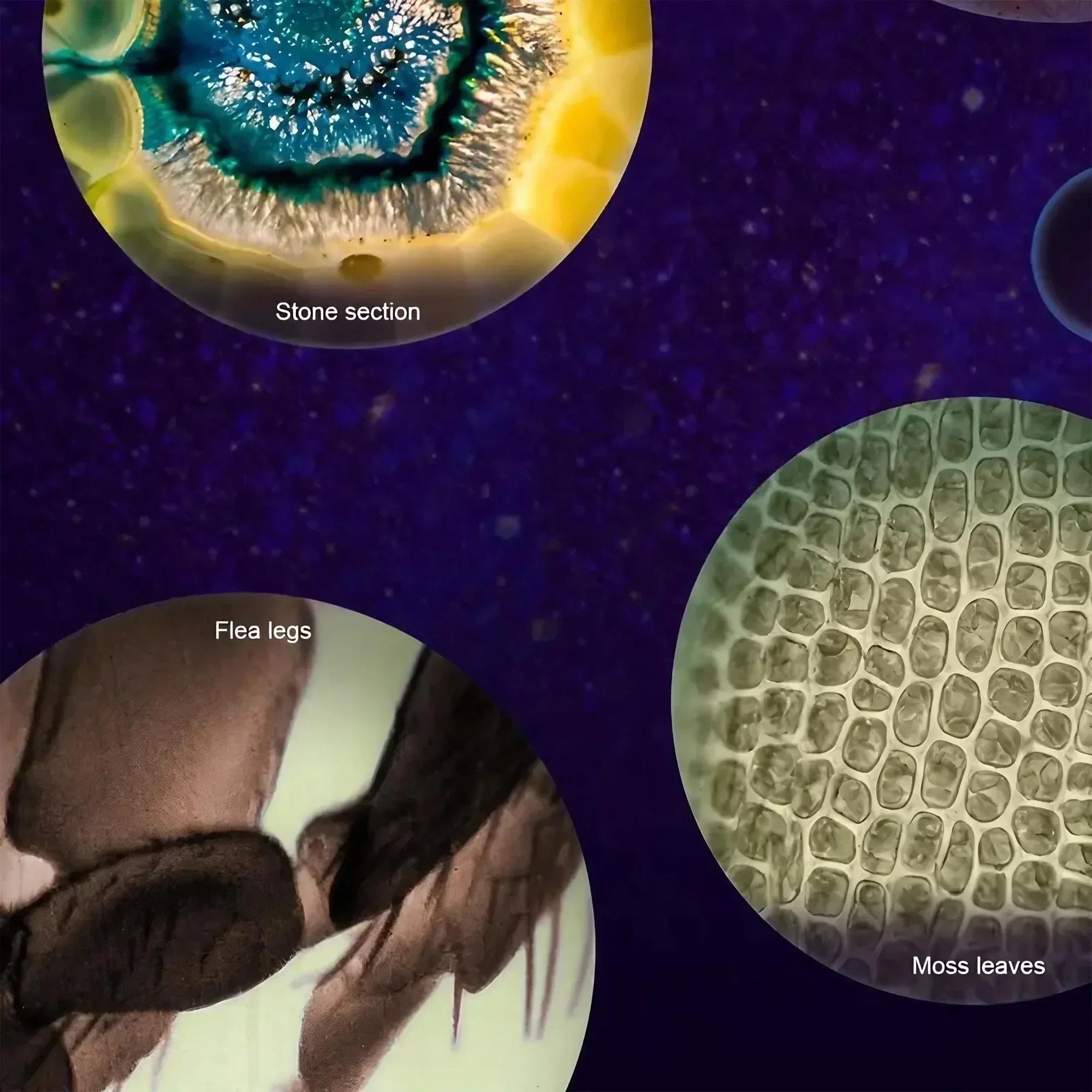 Kit de microscopio de mano para niños, luz LED de laboratorio, 60X, 120X, hogar, escuela, biología, ciencia, juguetes educativos, Brinquedo, regalo STEM
