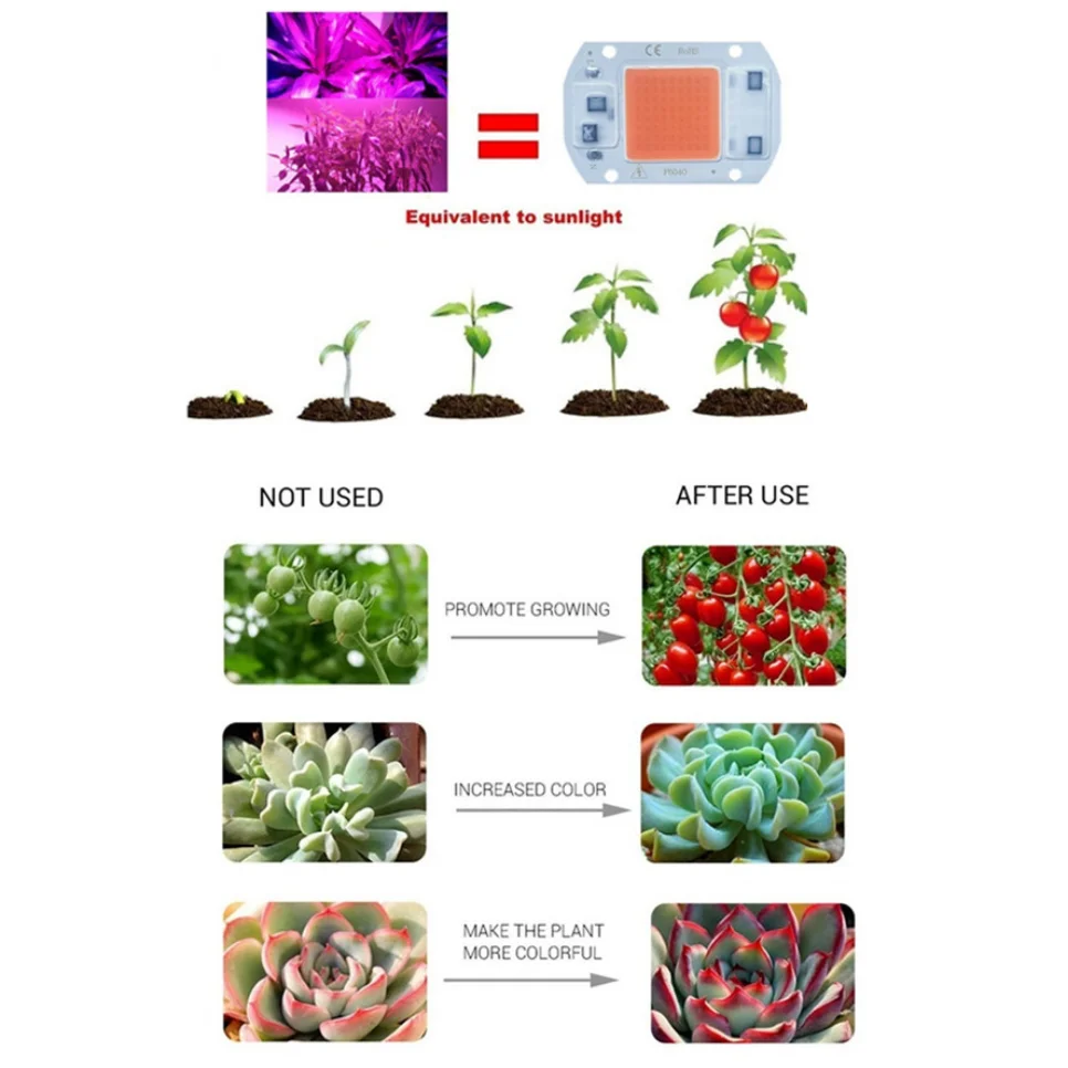 LED COB 칩, 피토 램프, 풀 스펙트럼, 110V/220V, 20W, 30W, 50W, 스마트 ICFor, 실내 식물 묘목 재배용, 아웃도어 칩, 램