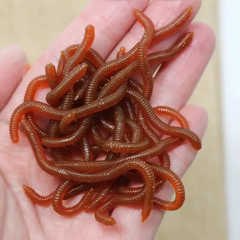 Esca morbida rossa con odore di pesce realistico Simulazione Lombrico Vermi rossi Esche da pesca artificiali