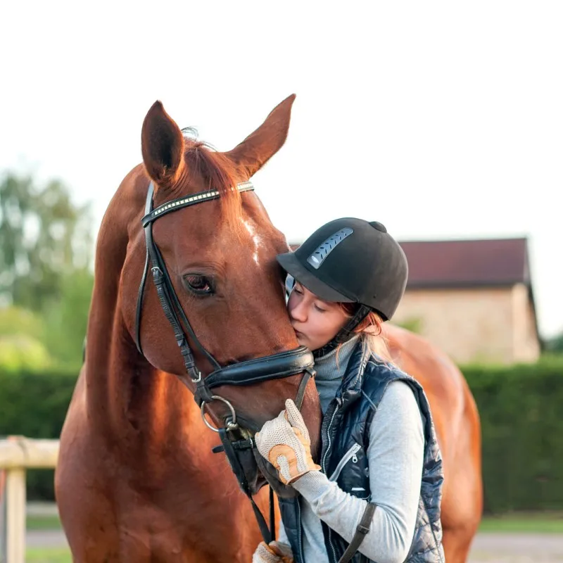 Horse Fly Mask Harness อุปกรณ์ฝาครอบม้า Windproof Eye Mask Speed Race Goggles Horse Head Cover อุปกรณ์ขี่ม้า