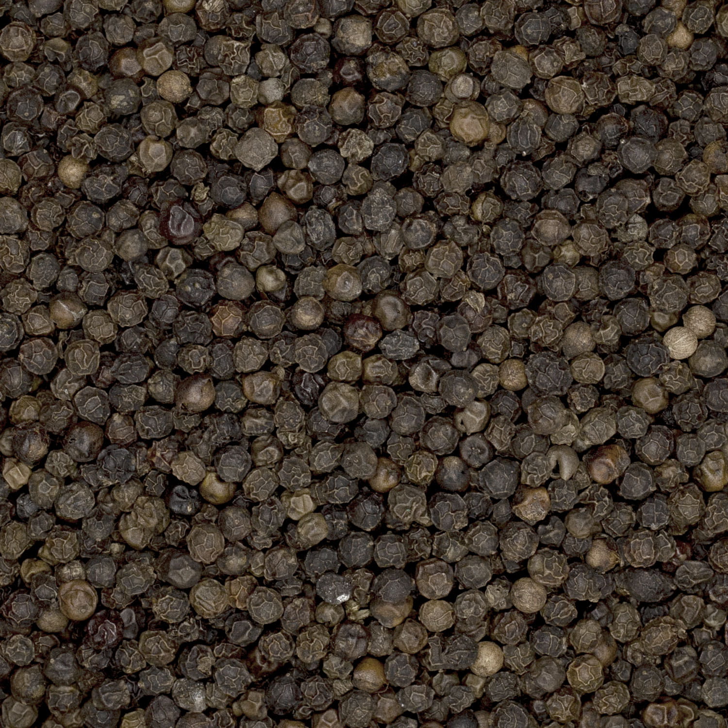 Pieprz czarny ziarno 500g