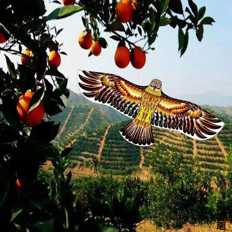 Anti Bird Flying Hawk Kite Bird Repeller Large Eagle Kites Scarecrow Decoy for Farm Garden Pest Bird Repellent