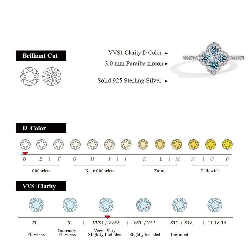 ATTAGEMS-Bagues classiques Moissanite pour femme, argent regardé 100% S925, fiançailles, fête de mariage, cadeau de joaillerie fine, nouveau document DVVl's