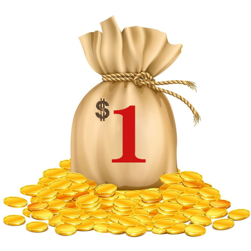 Isto é para pedidos personalizados, diferença de preço, mudança de pedido/taxa de envio