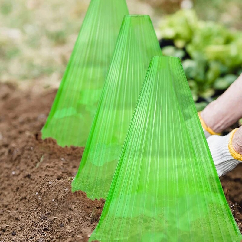 5 ชิ้น Growth กล่องปลูกเต็นท์ Reusable Square ใช้พืชนาฬิกาปกป้องพืชจากนก Frost และ Snail ความเสียหายสีเขียว