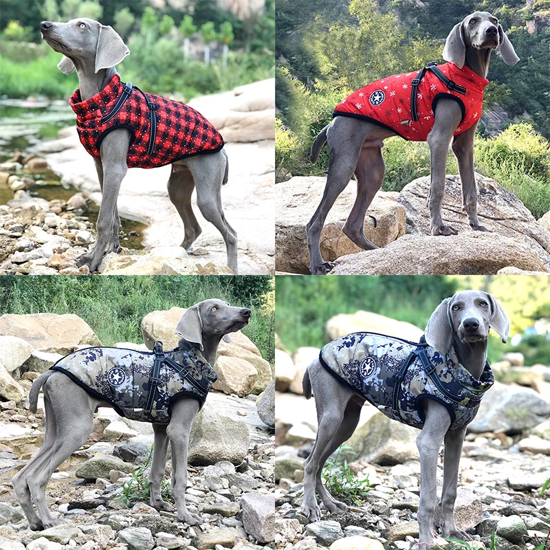 Cỡ Lớn Cho Thú Cưng Chó Áo Khoác Kèm Dây Nịt Mùa Đông Ấm Quần Áo Cho Chó Cho Labrador Chống Nước Cho Chó Lớn Phối Chi Pháp Bulldog Trang Phục