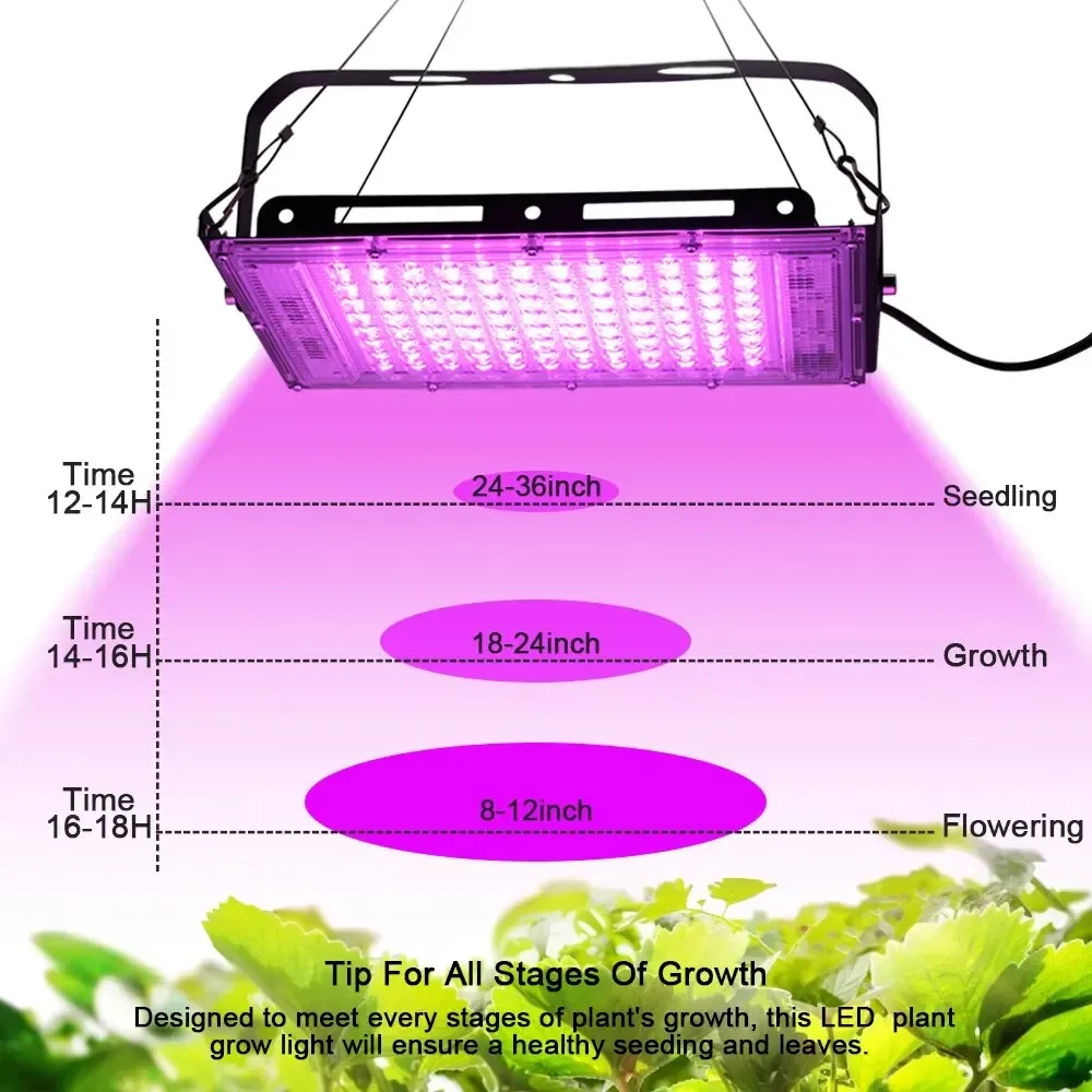 Full Spectrum LED Grow Light AC220V 50W 100W 300W Phyto Lamp With On/Off Switch For Greenhouse Hydroponic Plant Growth Lighting