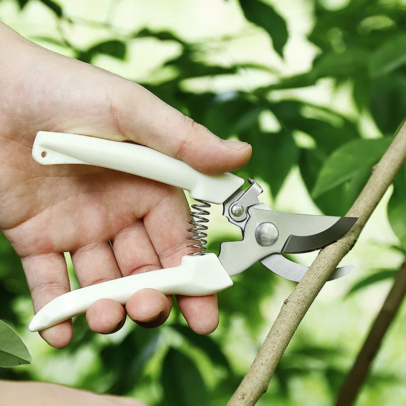 กรรไกรสแตนเลสตัดดอกไม้ตัดแต่งกิ่งผลไม้สวนสาขาตัดในครัวเรือน Grafting สวนกรรไกร